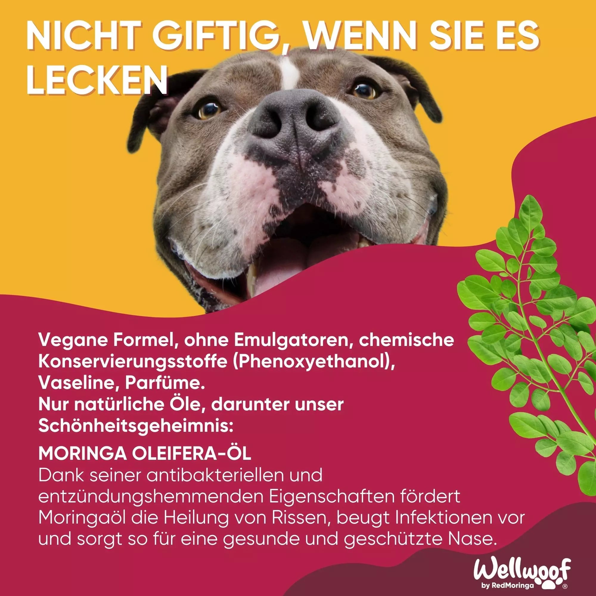 RedMoringa WellWoof Crema Zampe e Polpastrelli cani gatti naturale