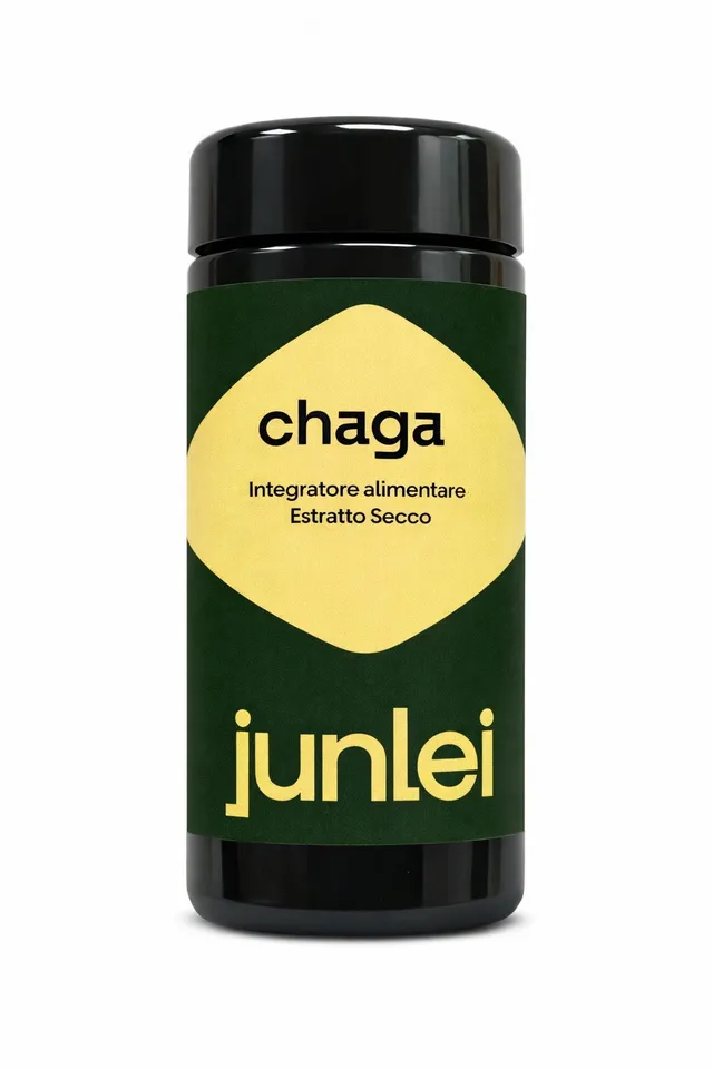 Junlei Chaga estratto secco polvere 45 g antiossidante