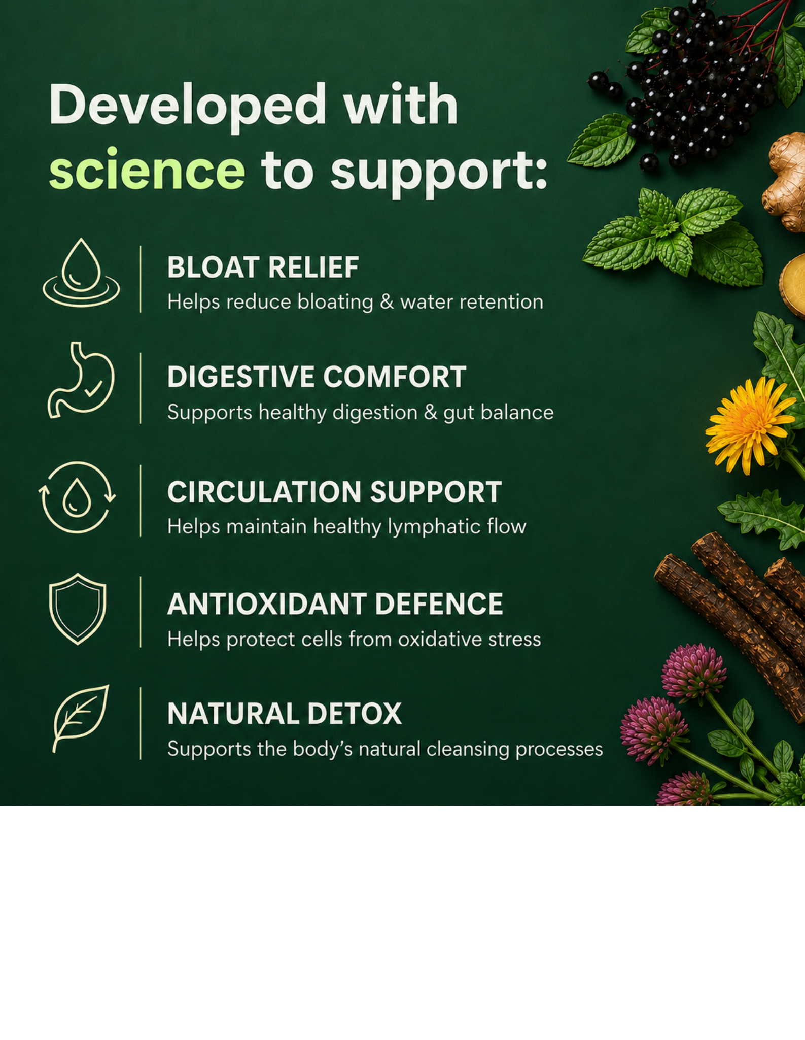 Dropology Lymph-Flo gocce botaniche 60 ml 10 erbe