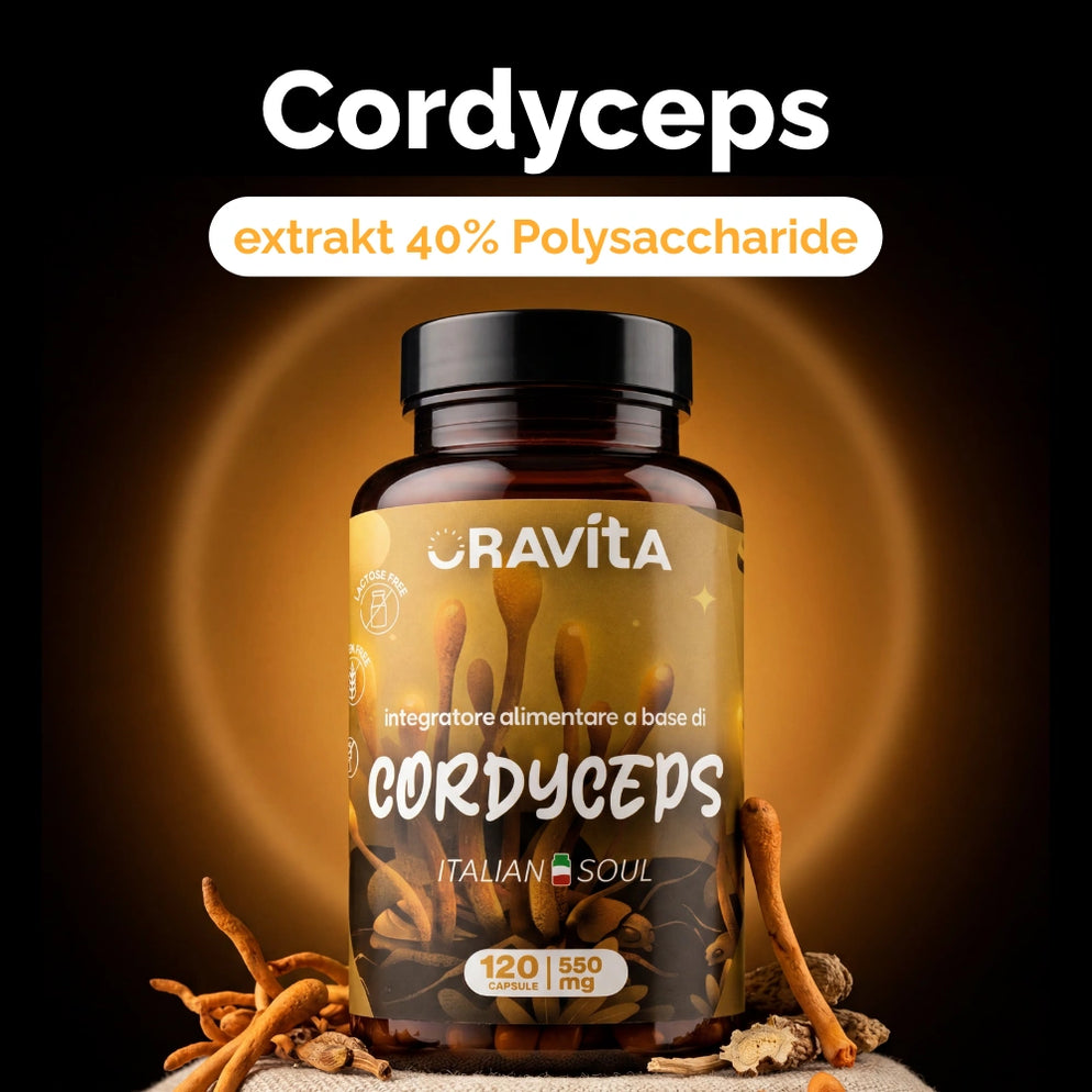 RedMoringa Oravita Cordyceps sinensis micelio energia