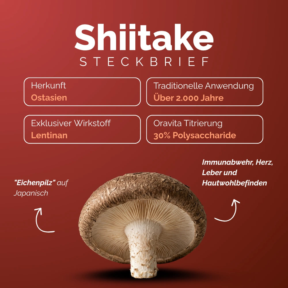 Oravita Funghi Kit integratore 4 funghi medicinali 2 mesi memoria