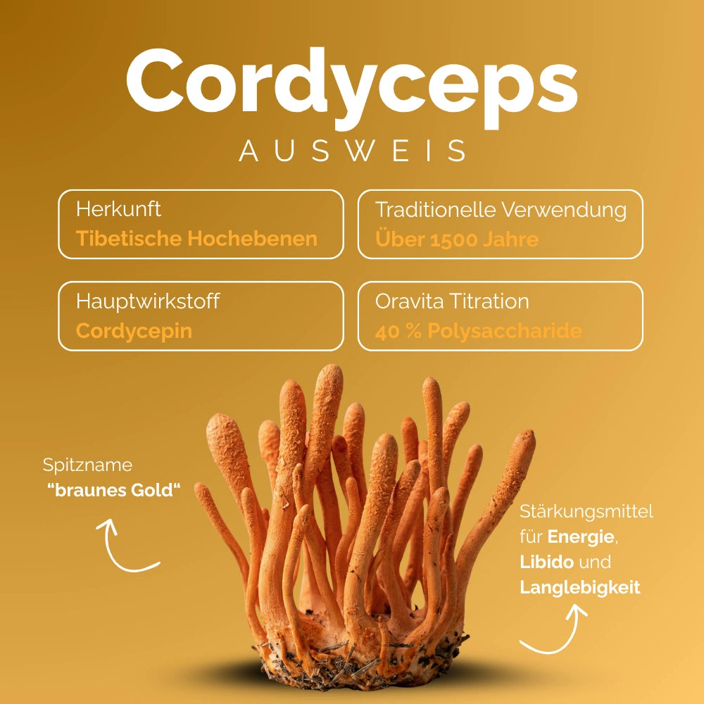 Oravita Cordyceps Estratto Titolato capsule 1 flacone energia