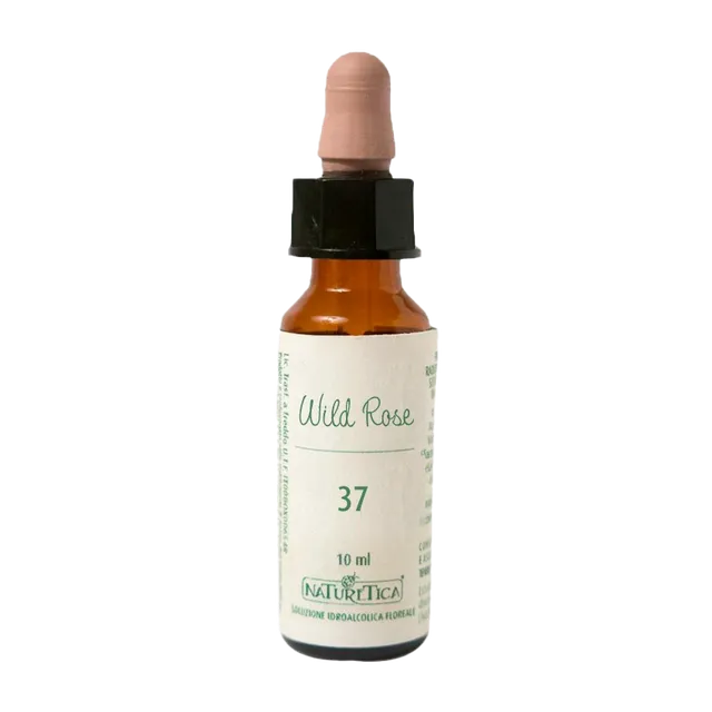 Naturetica Bielli N.37 wild rose fiori di Bach gocce