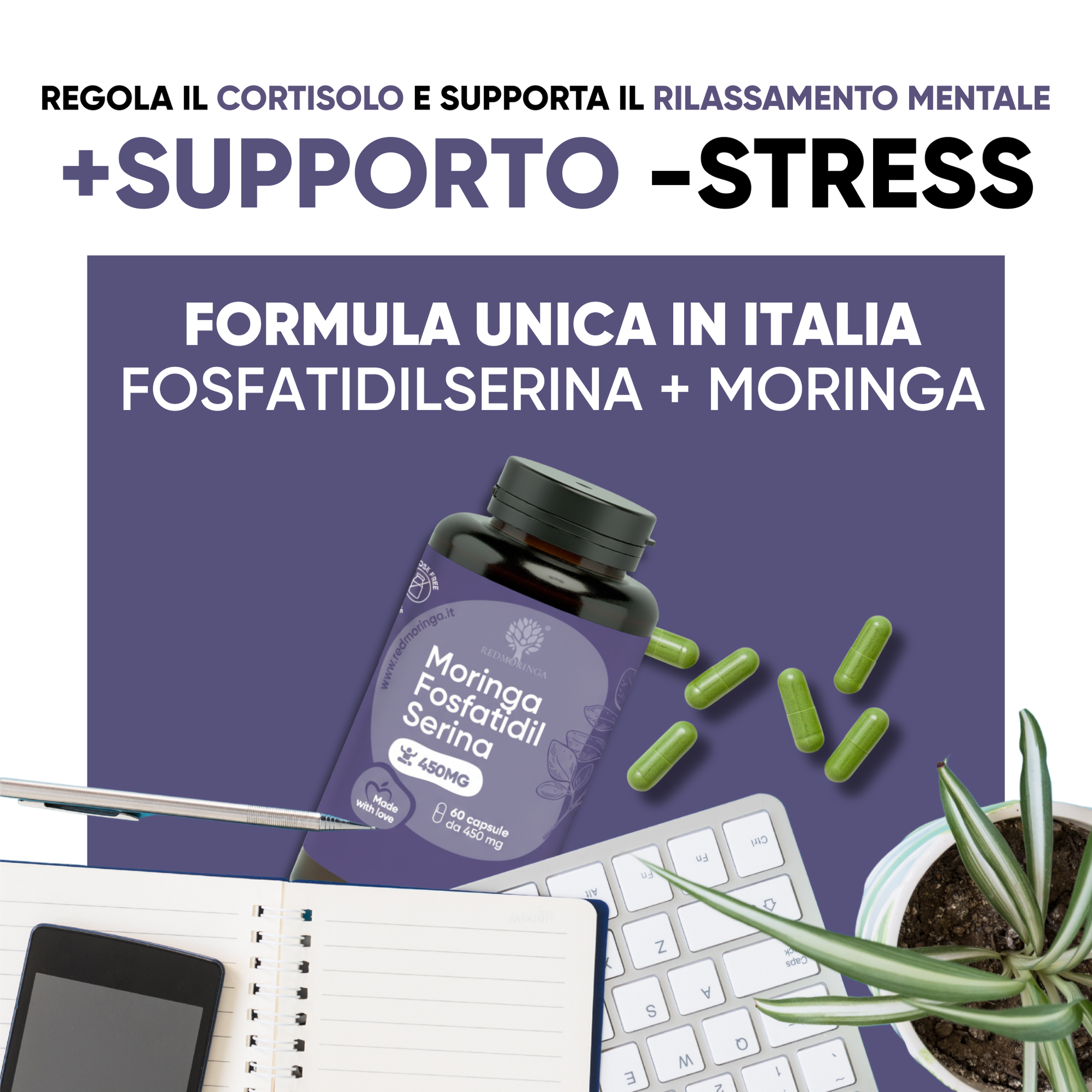 RedMoringa Fosfatidilserina 450 mg Moringa Trattamento Stress