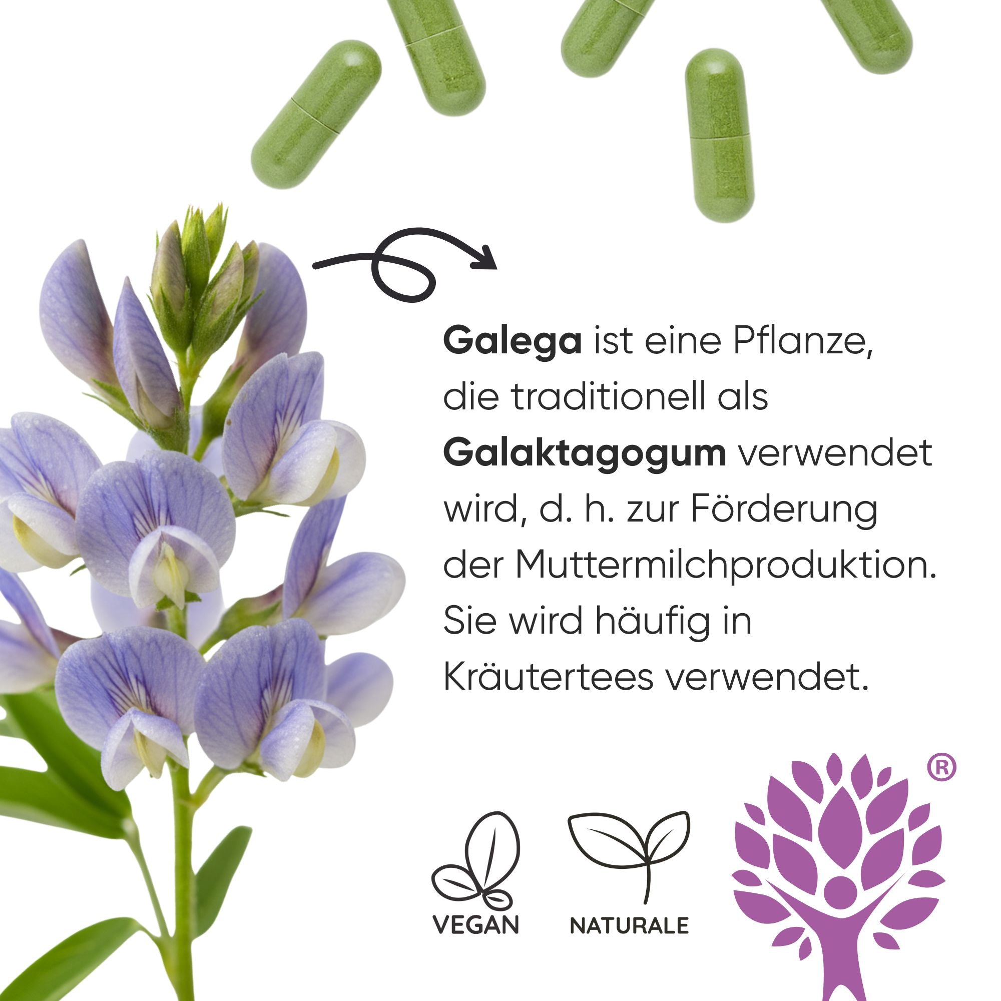RedMoringa Post Partum capsule galega zafferano 1 flacone