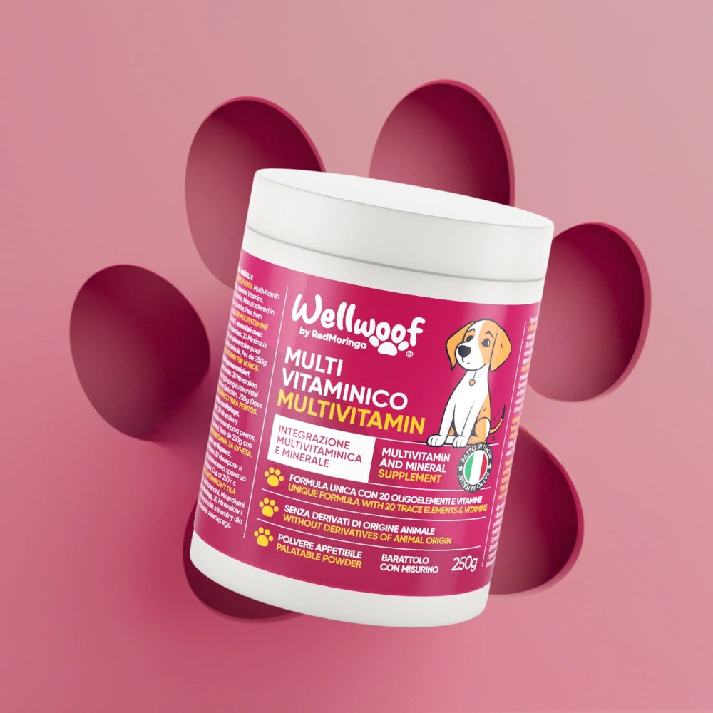 WellWoof Multivit Moringa integratore cane 1 barattolo energia