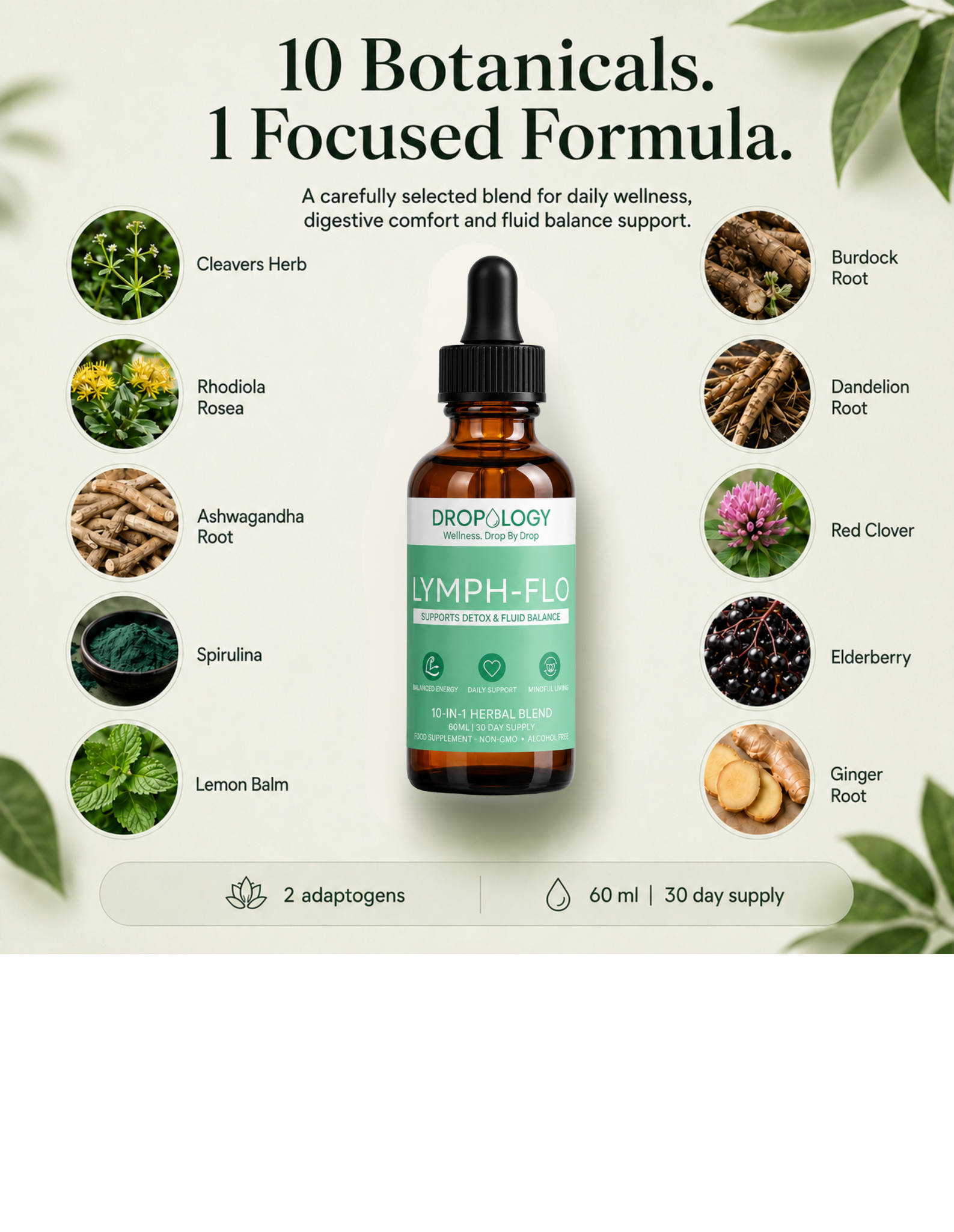Dropology Lymph-Flo gocce botaniche 60 ml 10 erbe