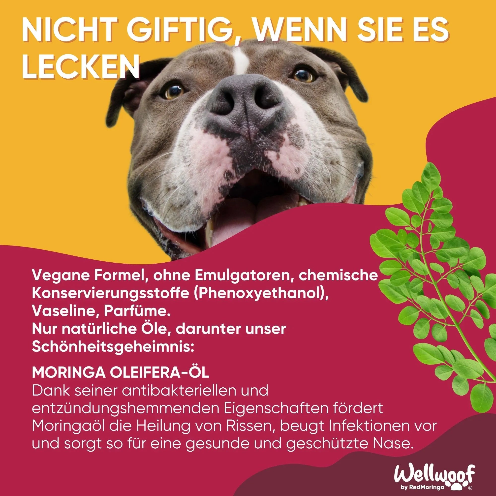 WellWoof Crema Naso Cane e Gatto Balsamo Moringa Naturale