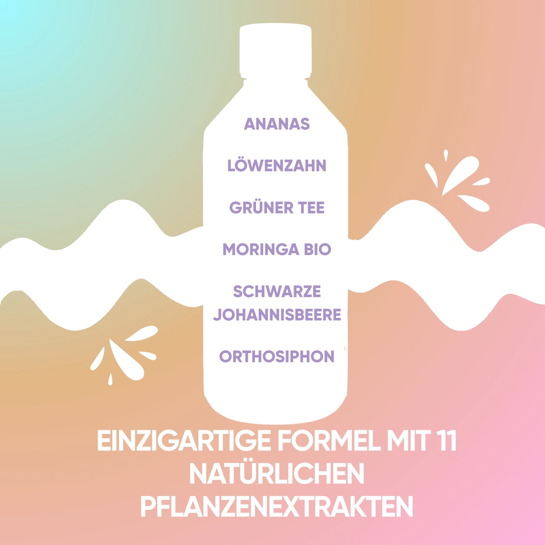 RedMoringa Kit Estate trattamento anticellulite 4 pezzi microcircolo