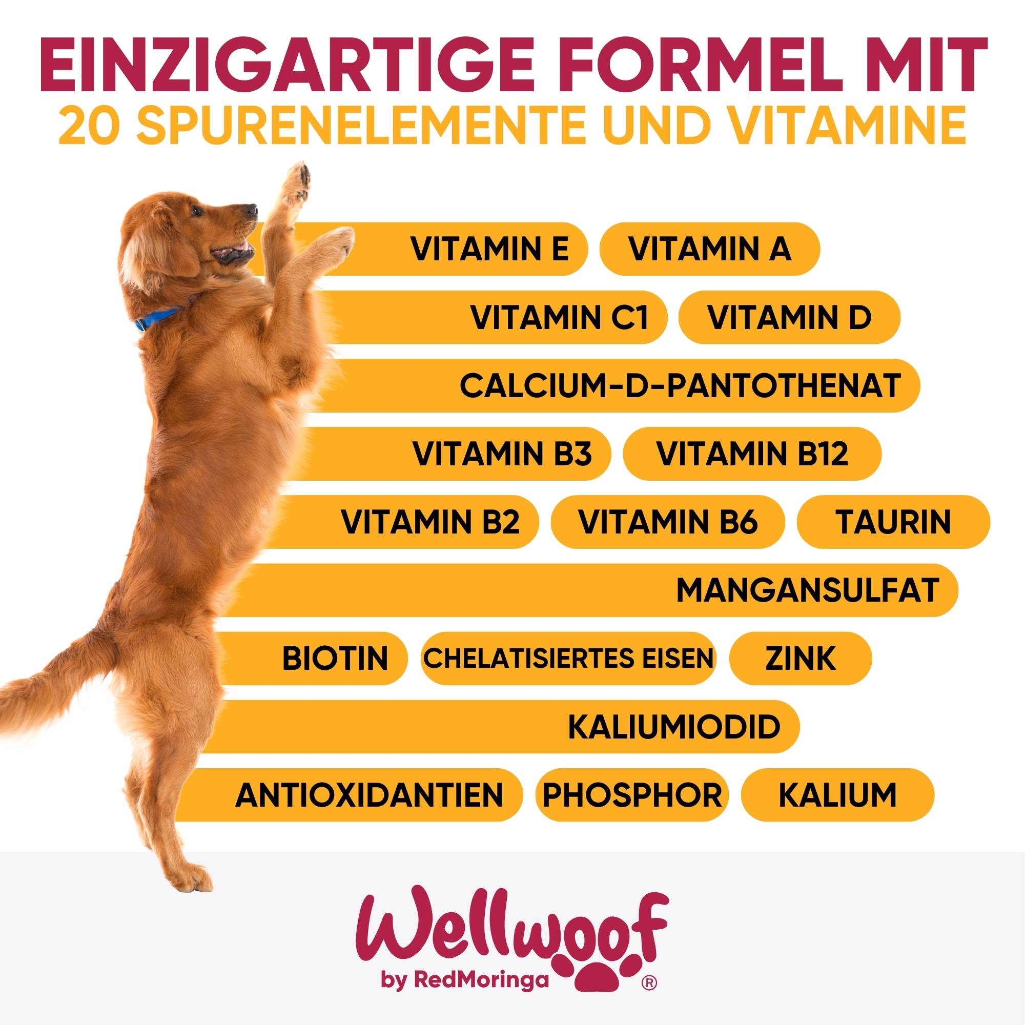 WellWoof Multivit Moringa integratore cane 1 barattolo energia