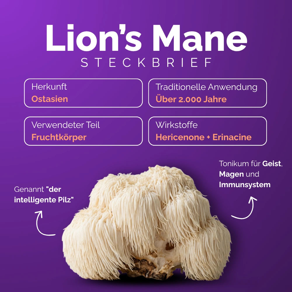 RedMoringa Oravita Lion's Mane integratore 1 flacone memoria