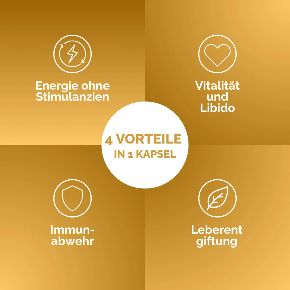 Oravita Cordyceps Estratto Titolato capsule 1 flacone energia
