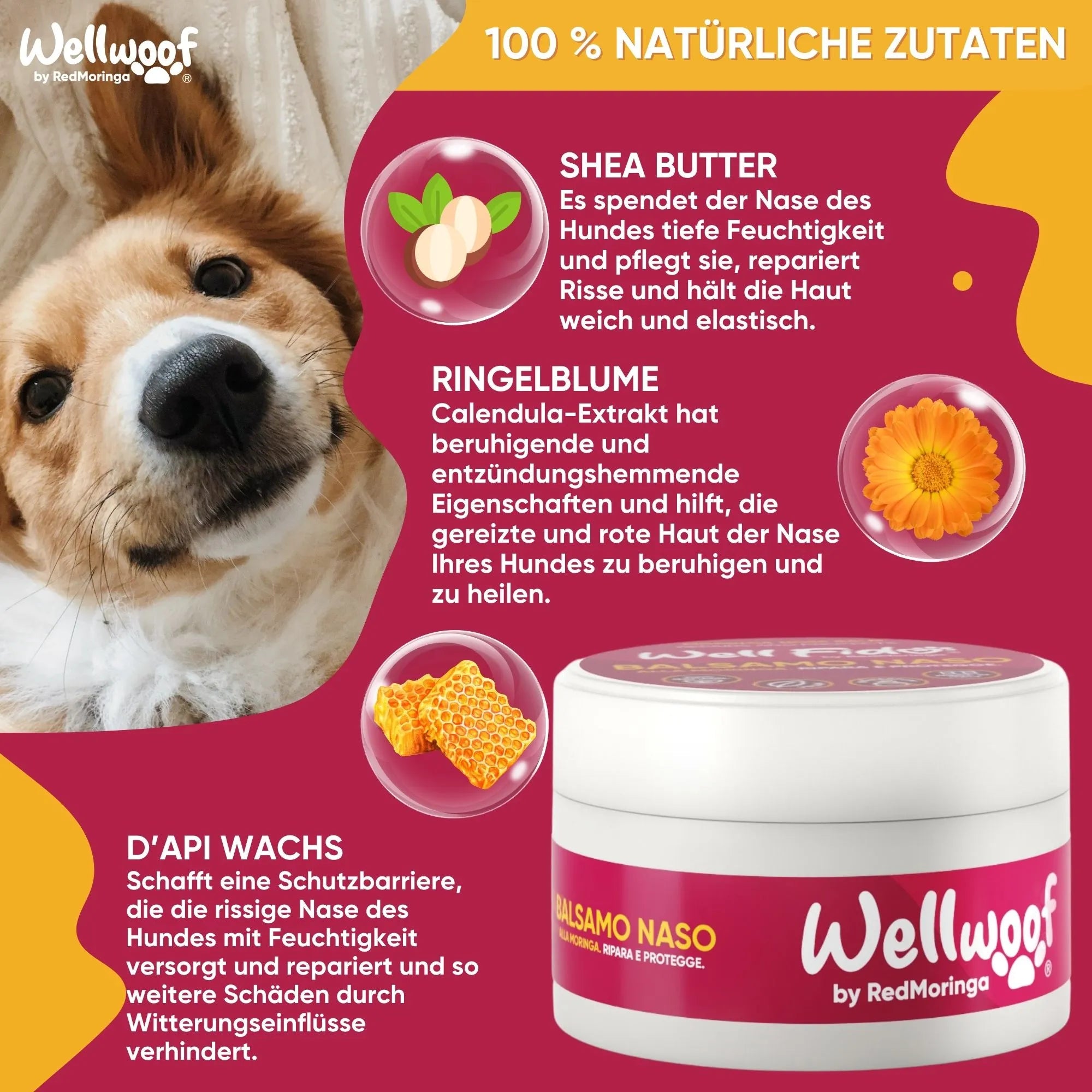 WellWoof Crema Naso Cane e Gatto Balsamo Moringa Naturale