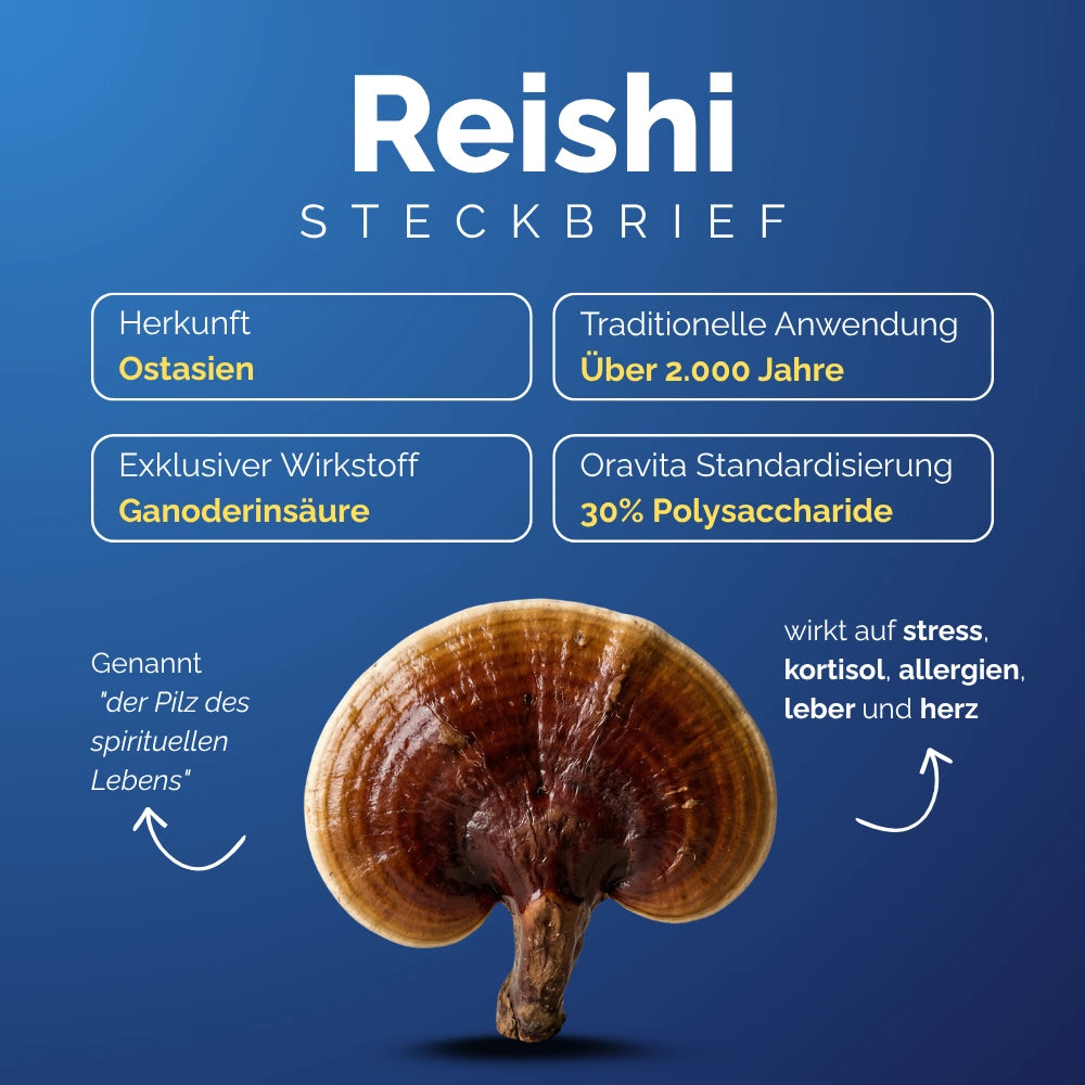 Oravita Funghi Kit integratore 4 funghi medicinali 2 mesi memoria
