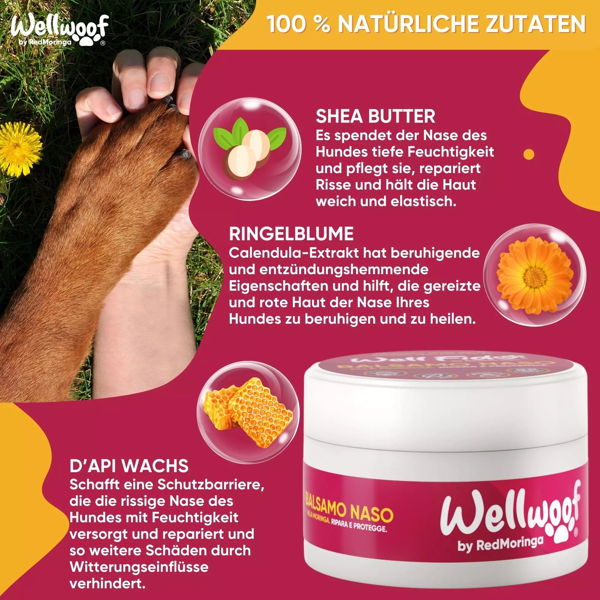 RedMoringa WellWoof Crema Zampe e Polpastrelli cani gatti naturale