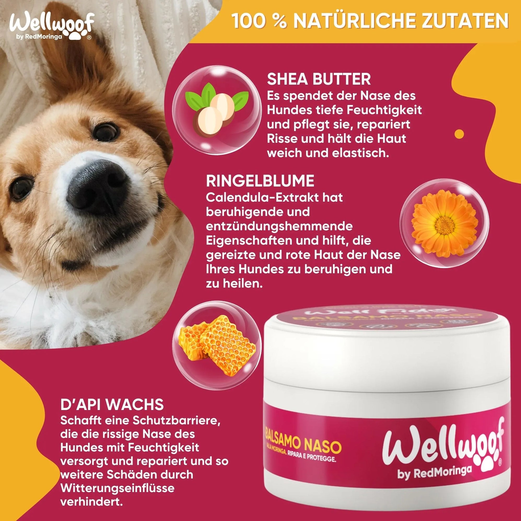 WellWoof Moringa crema naso cane gatto 70ml naso secco