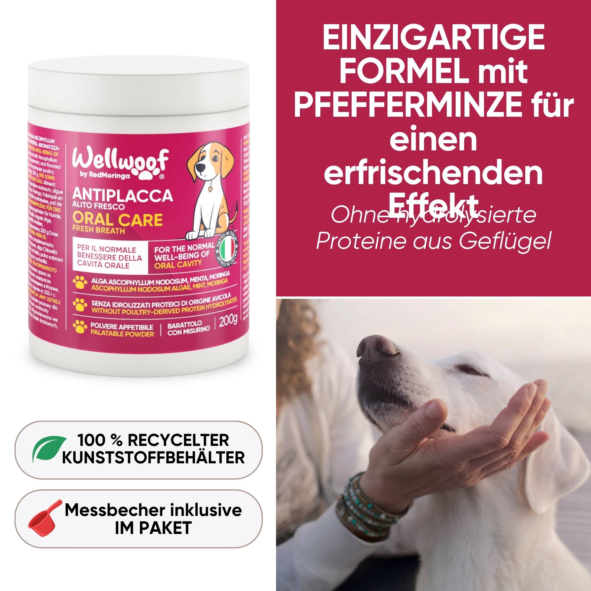 WellWoof Oral Care integratore antitartaro cani 1 barattolo alga